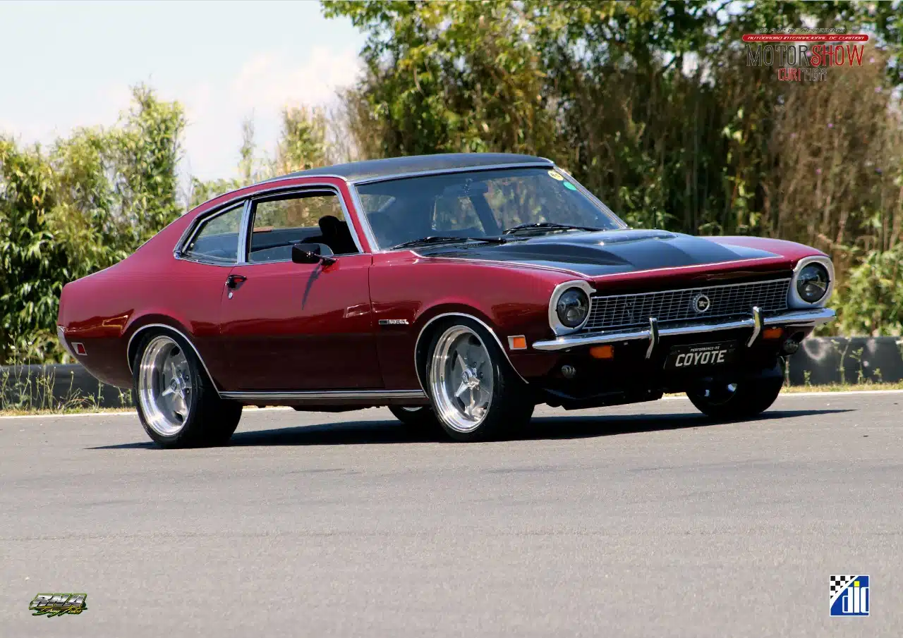 Teto Vinil Ford Maverick - Imagem 3