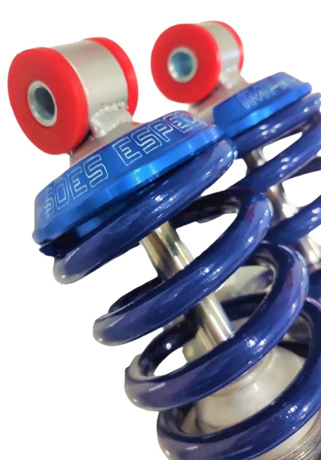 Coil Overs Traseiro Performance Ford F1 F100 F1000
