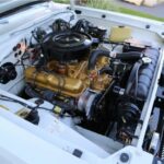 Motor Dodge 318