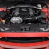 Capa Radiador Frontal Fibra Carbono Ford Mustang 2018-2023